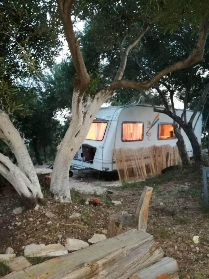 Terraoliva&herbs Campsite