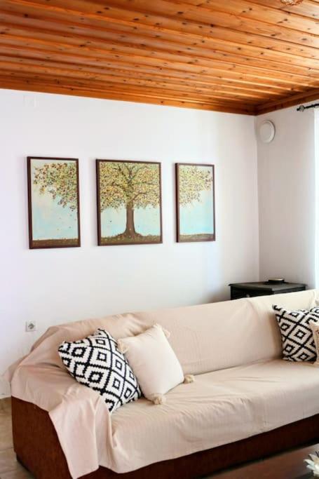 Apartment Traditional House Mataki *