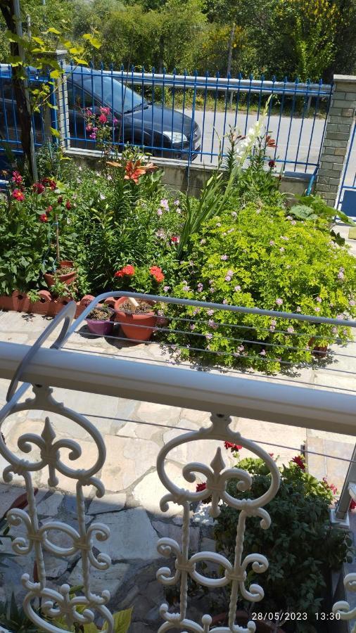 Marmelada Aparthotel