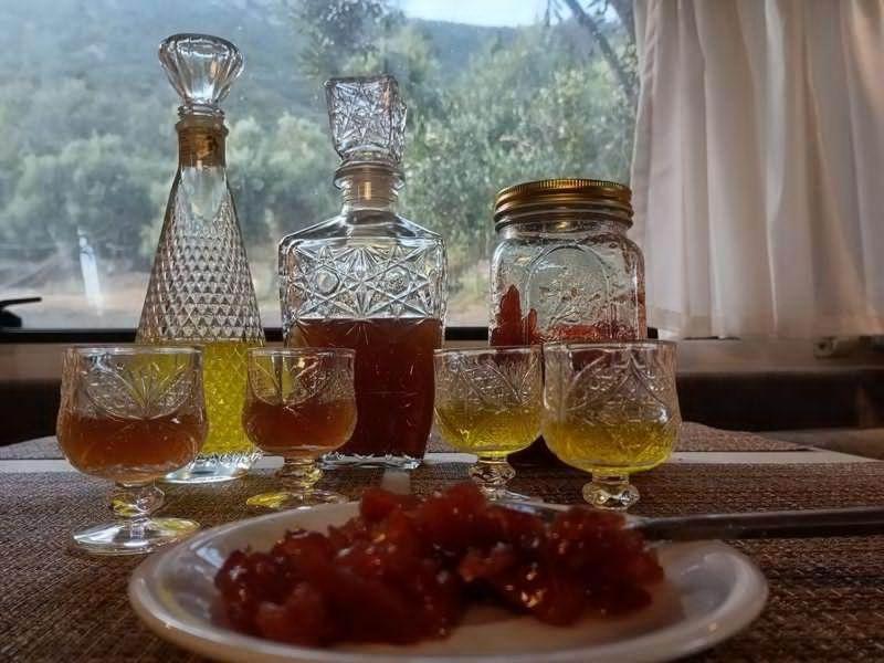 Terraoliva&herbs Campsite