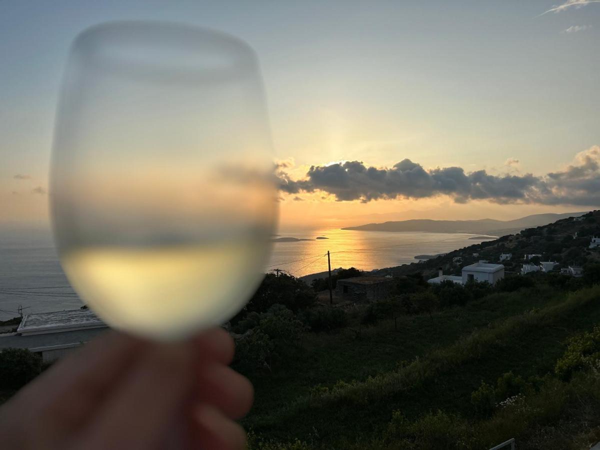 Apartment Aegean Mirror, Andros *