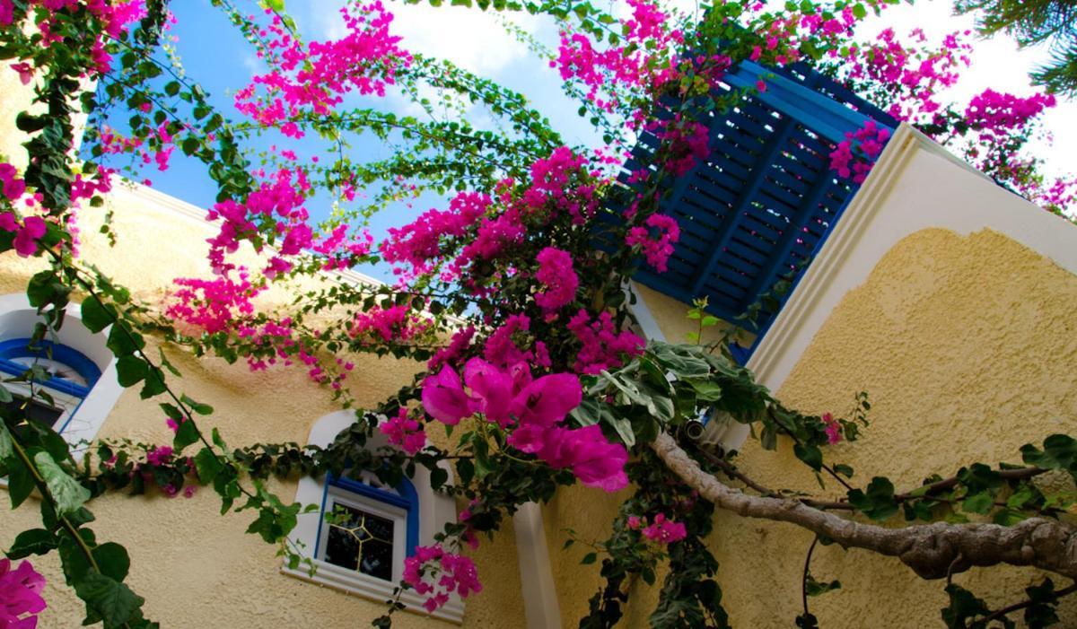 Aparthotel Zeus 2*