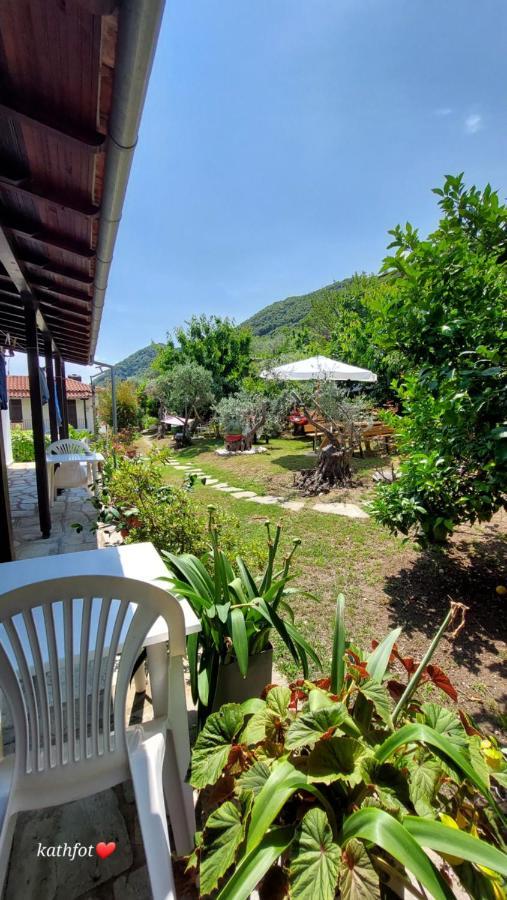 Katerina Fotopoulos & - Papanero Com * Agios Ioannis (Thessaly)