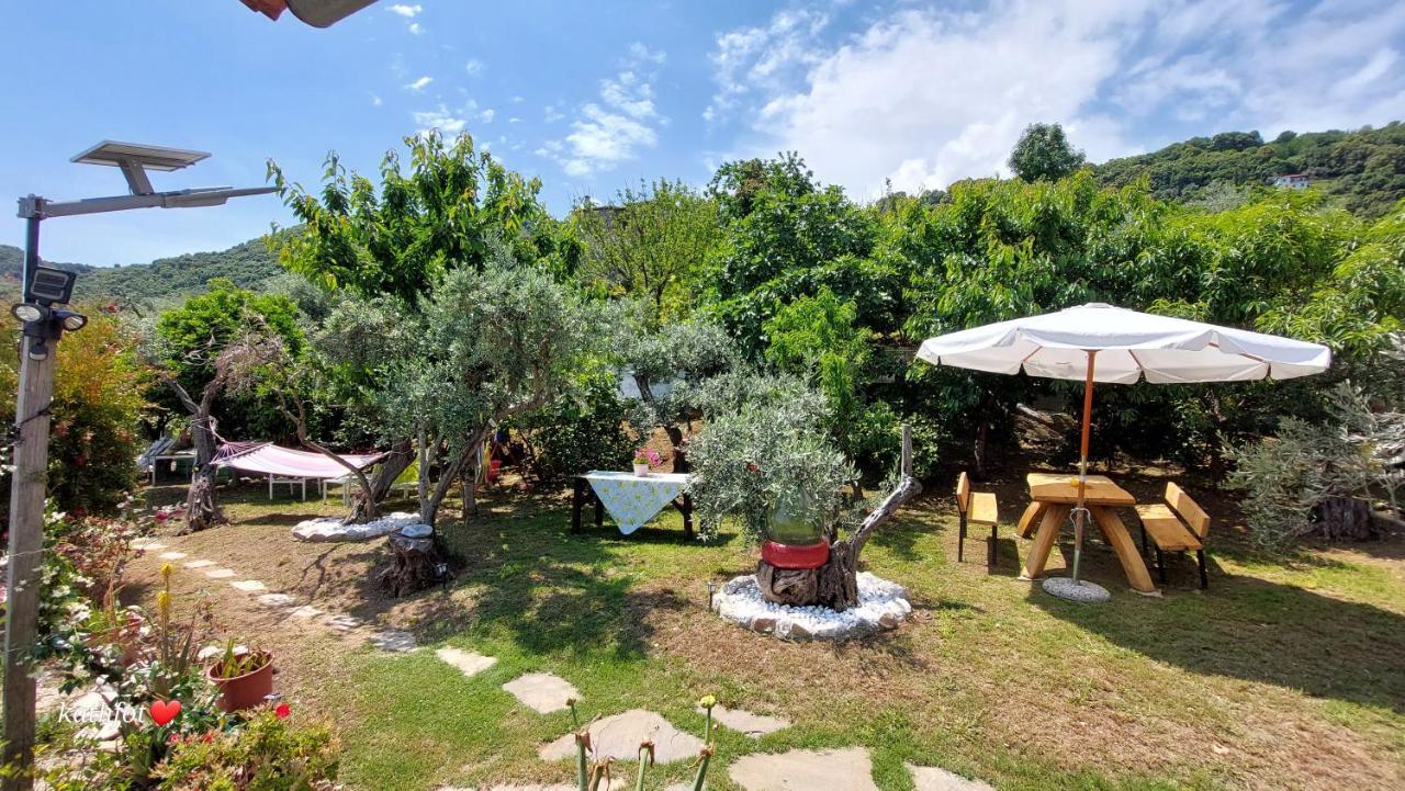 Apartment Katerina Fotopoulos & - Papanero Com Agios Ioannis (Thessaly)