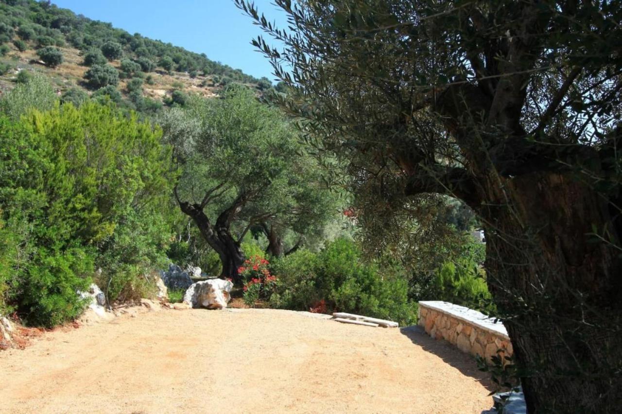 Arkoudi With Sea View Pink Pong Table Field Of Petanque And Cinema Villa