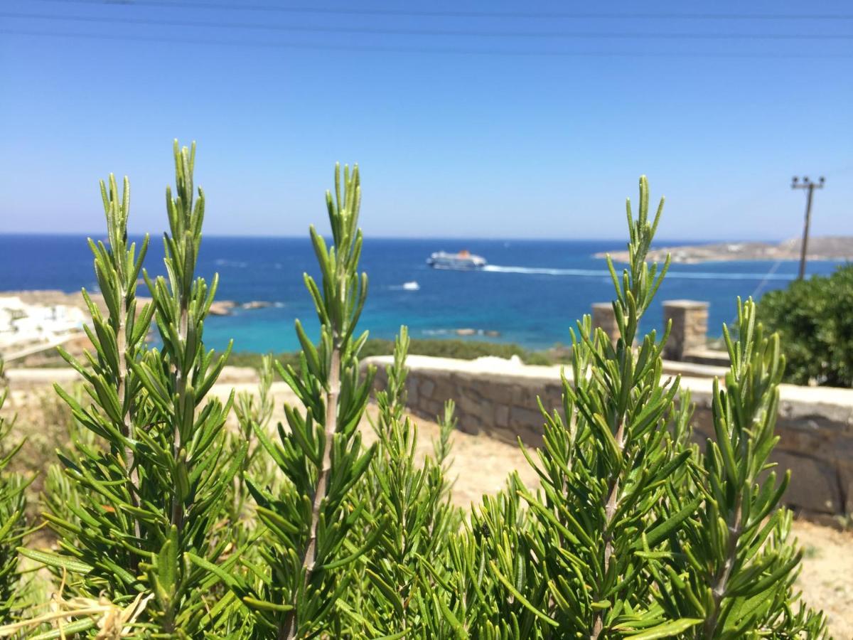 View House In Paroikia