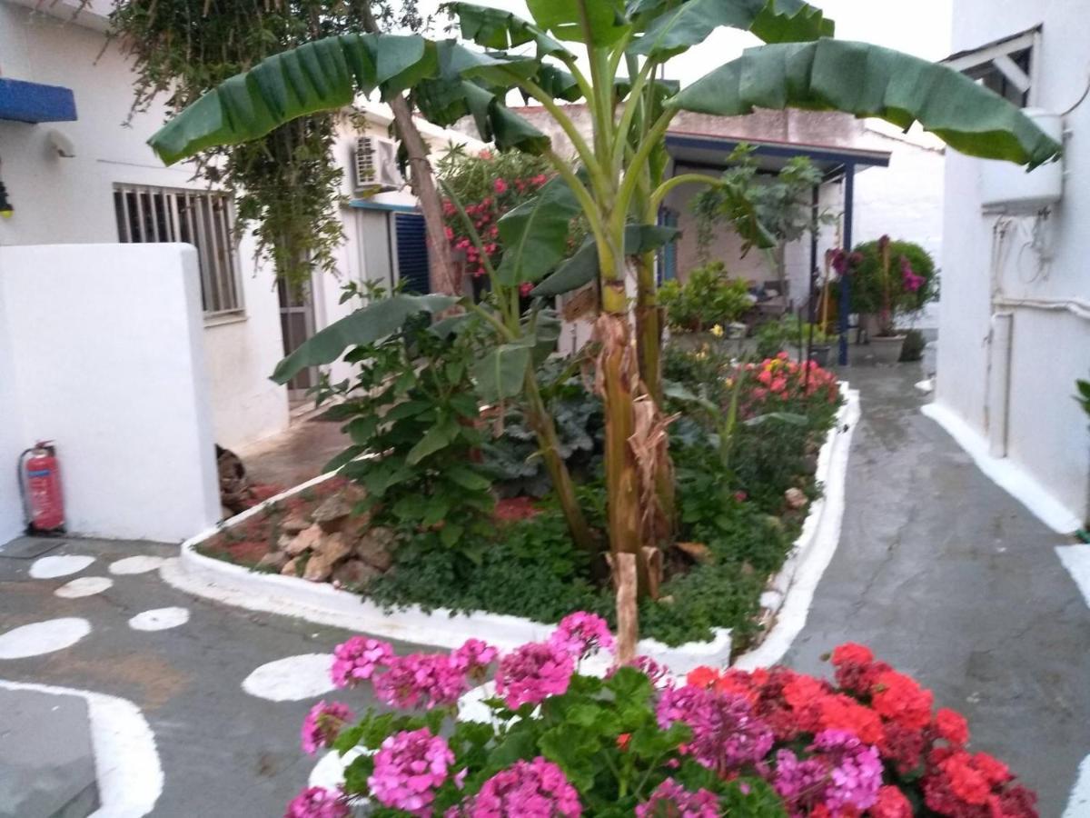 4 Seasons Suites Paradise Near Athens Airport Apartment *