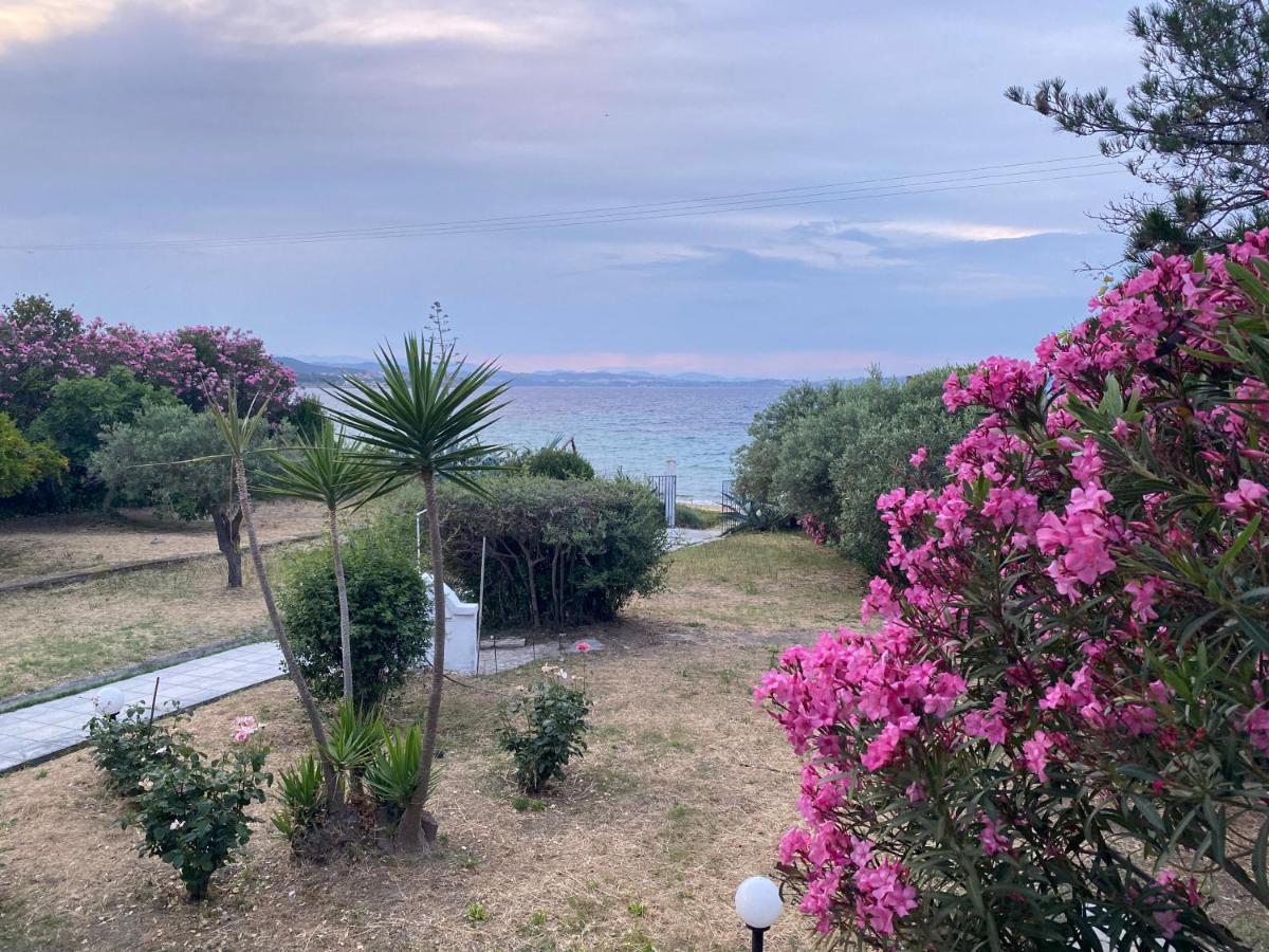 Casa Santa Agua Holiday home *