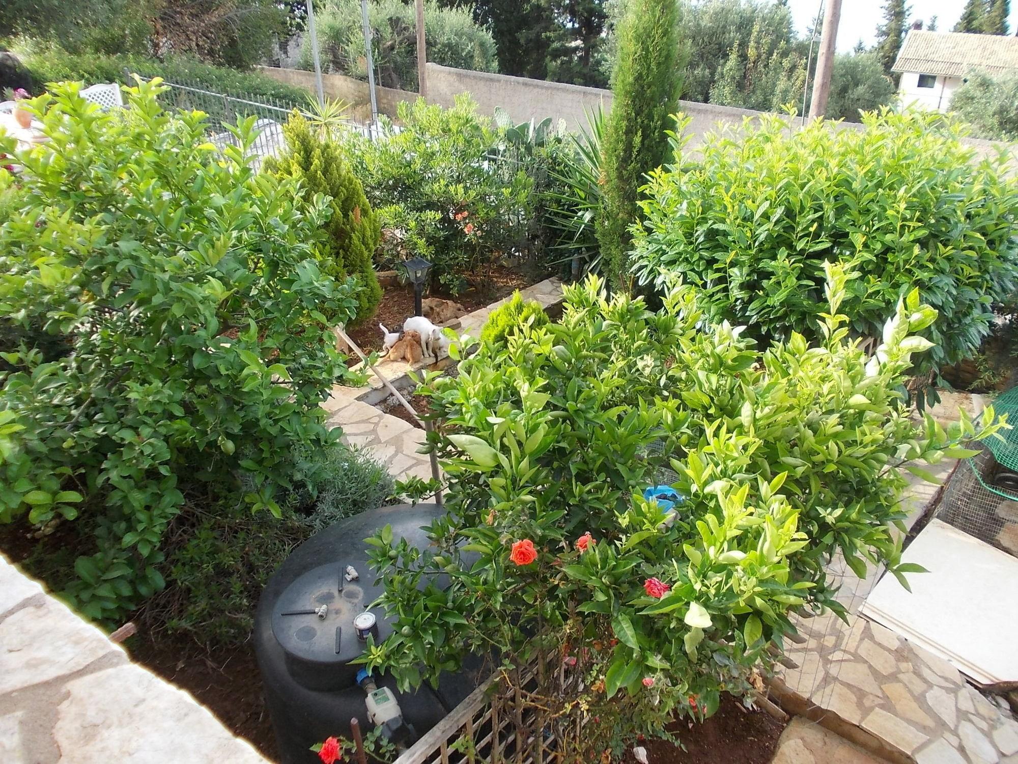 Apartment Sarakinos Barbati