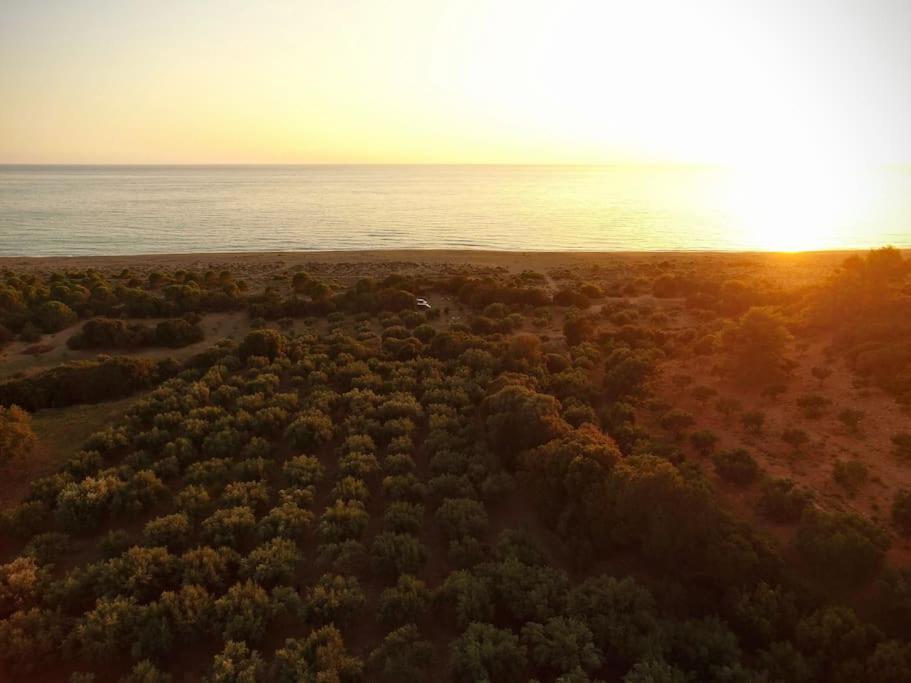 Vounaki Seaside Dreamland! Holiday home *