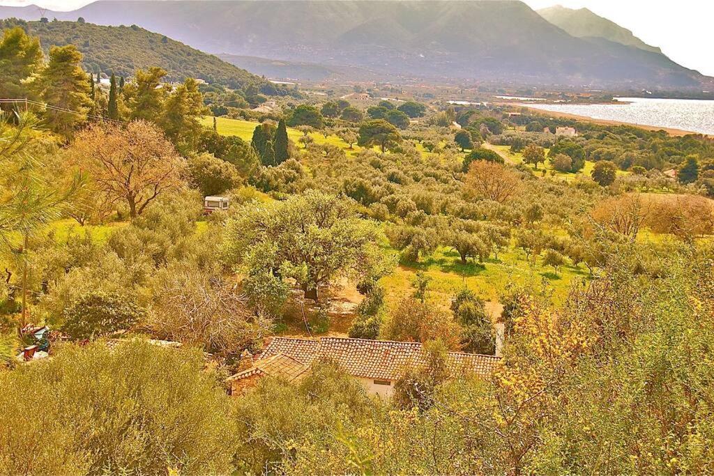 Holiday home Vounaki Seaside Dreamland! *