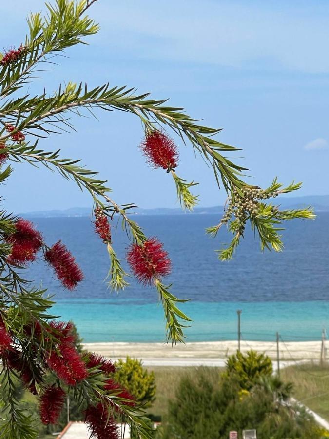 Holiday home Seaview Dreams *