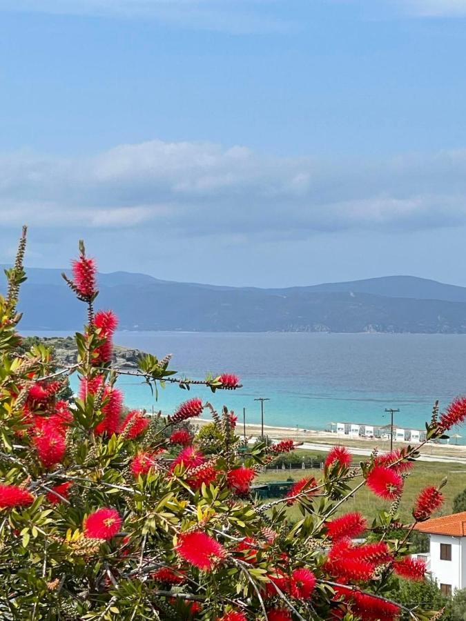 Seaview Dreams Holiday home