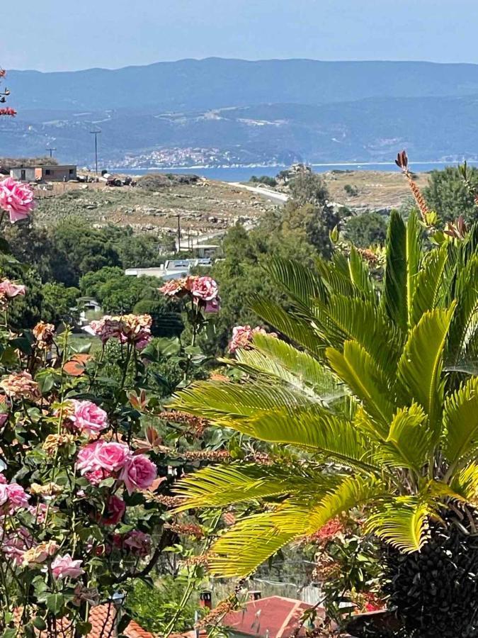 Holiday home Seaview Dreams