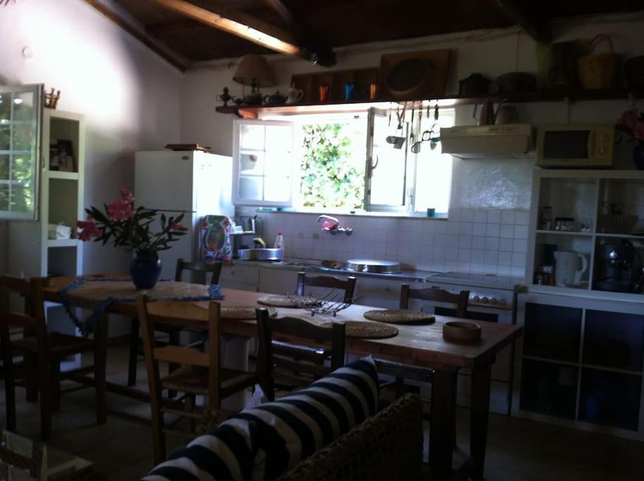 Holiday home Vounaki Seaside Dreamland!