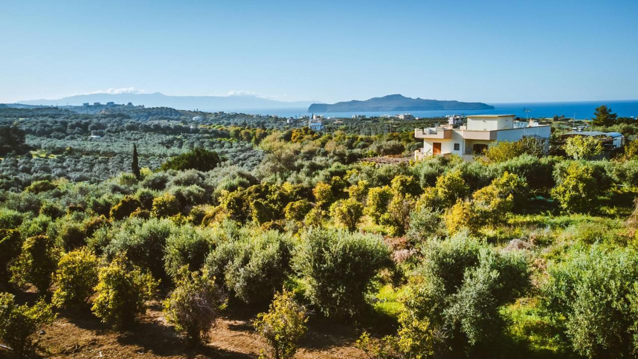 Apartment Nikola's Vineyard Agia (Chania, Crete)