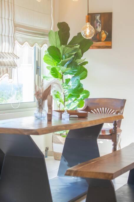 Mulberry Tree Villa *