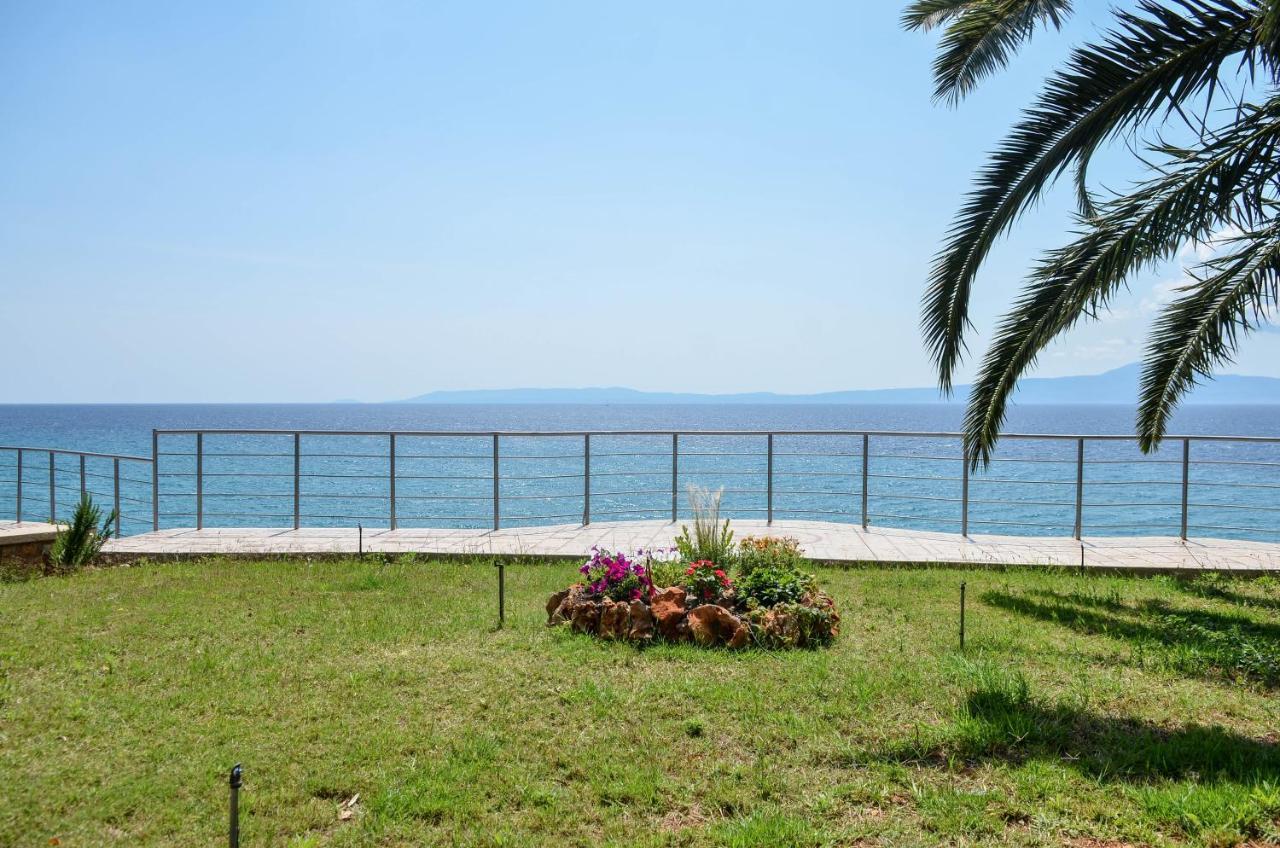 Apartment Exantas *