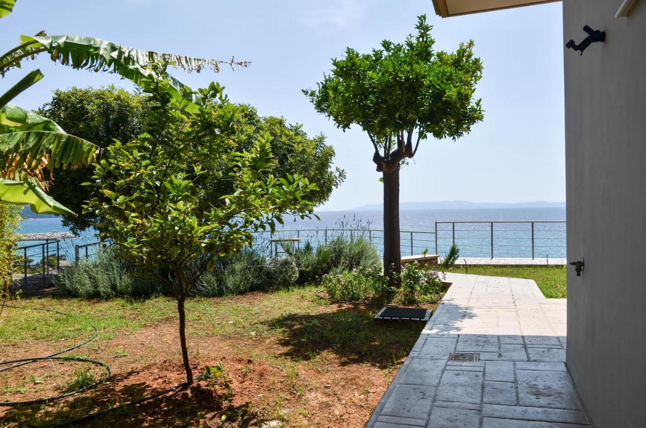 Exantas Kalamata