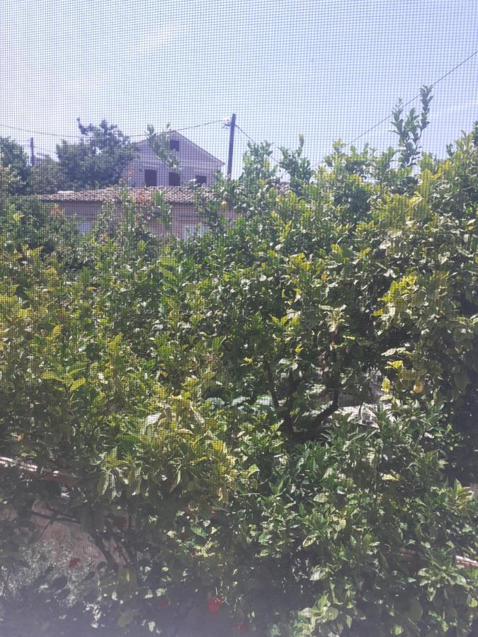 Thalia's Garden Guest house *