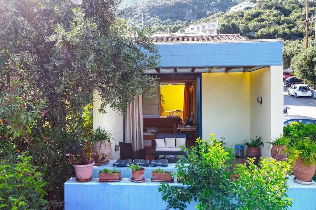 Bloom! Holiday home
