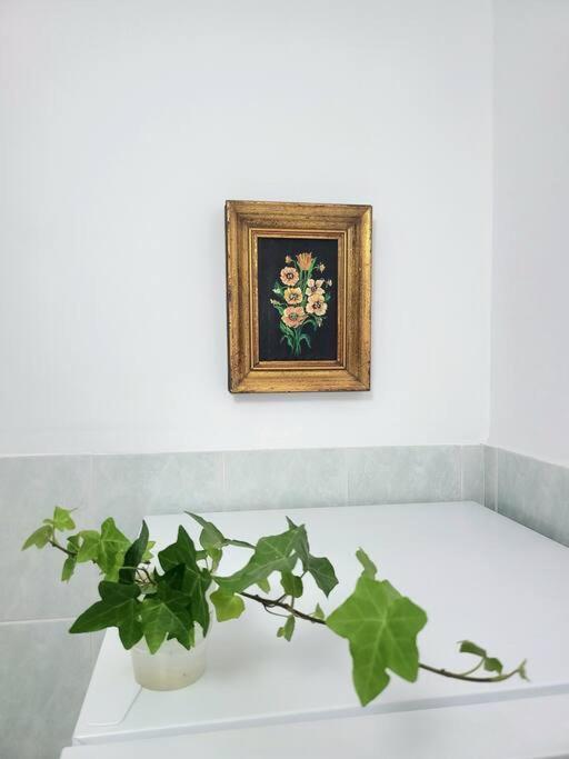 雅典的家 Apartment Athens