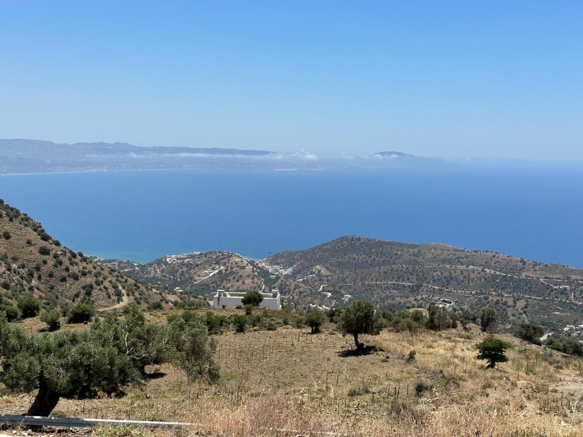Theophilos Seaview
