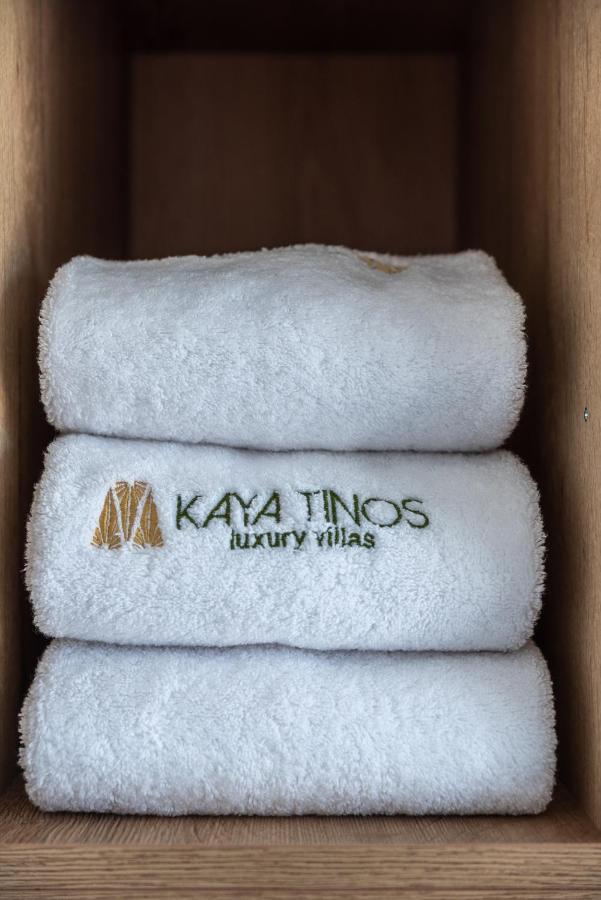 Kaya Tinos Luxury - Aeolus Villa Agios Romanos