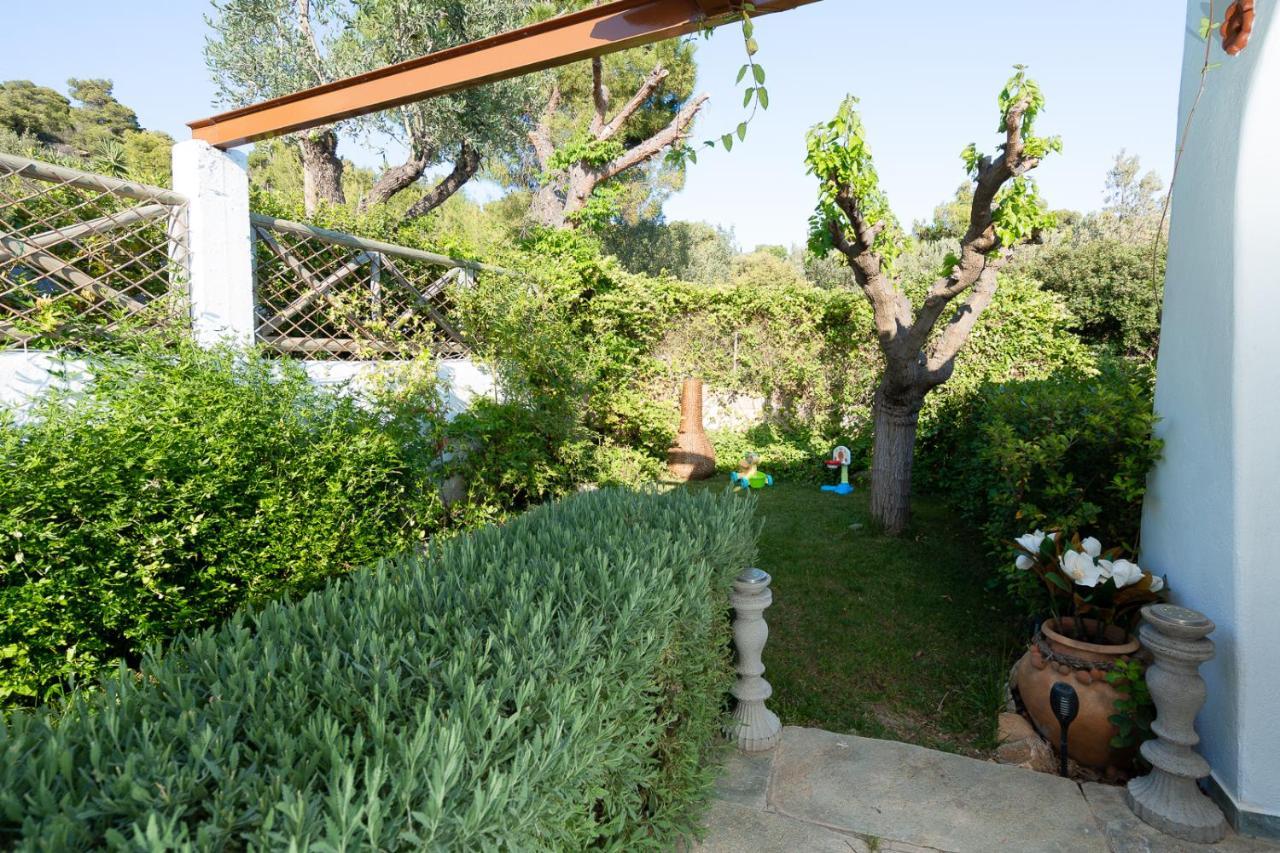 Apartment Beis Porto Rafti