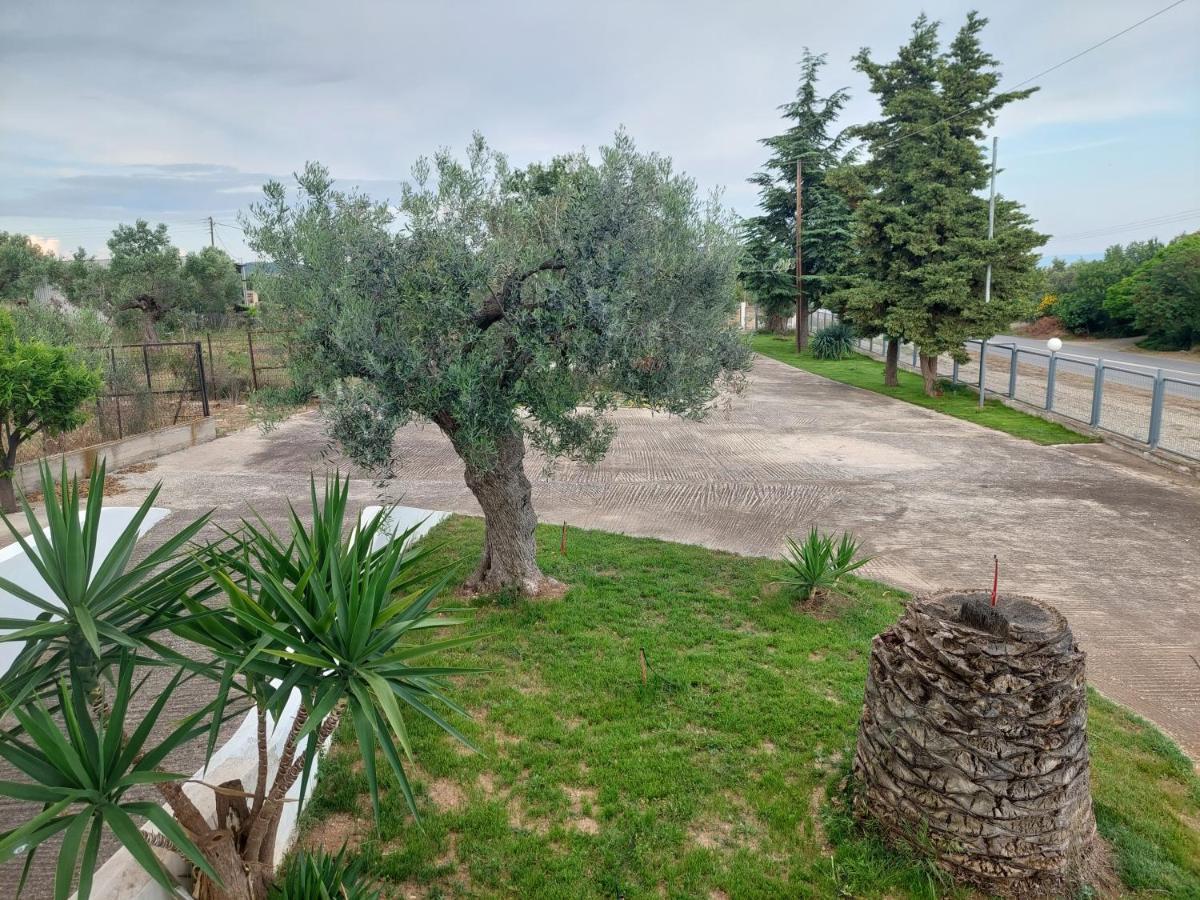 Kastro Apartment *