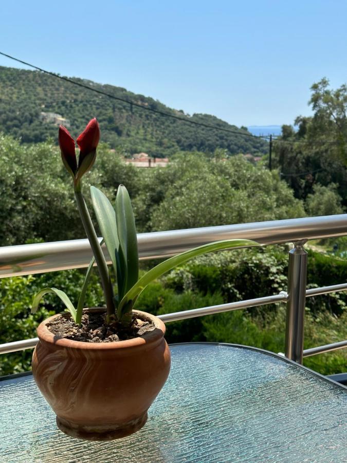 Casa Malva Apartment *