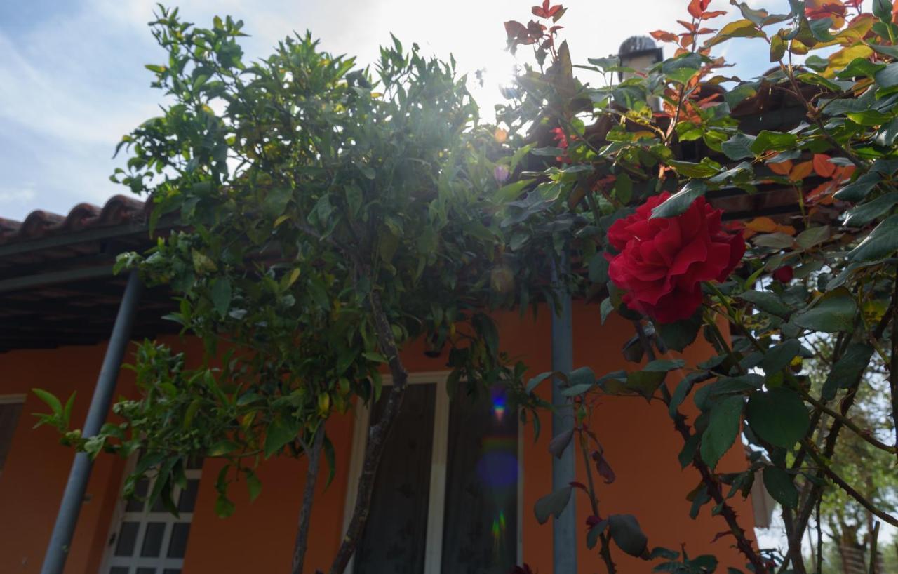 Helen's House