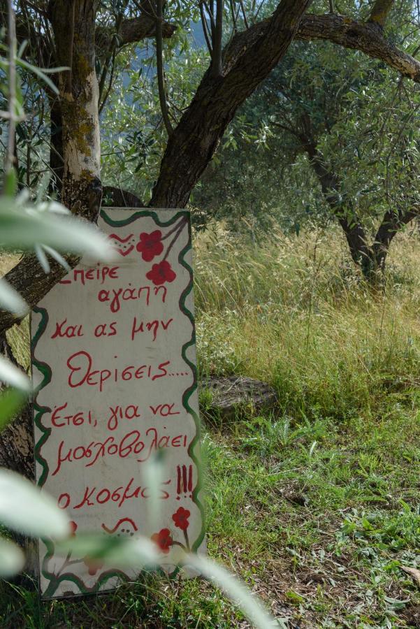 Holiday home Helen's House Igoumenitsa
