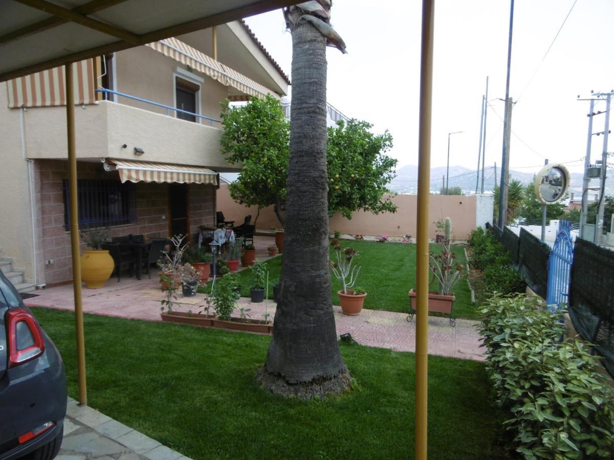 Lemon Tree * Anavyssos
