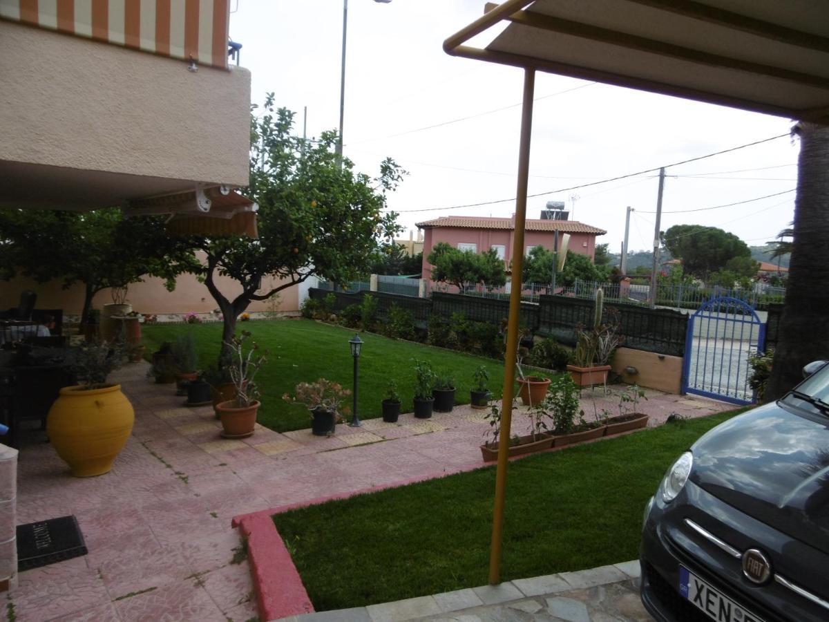Lemon Tree *