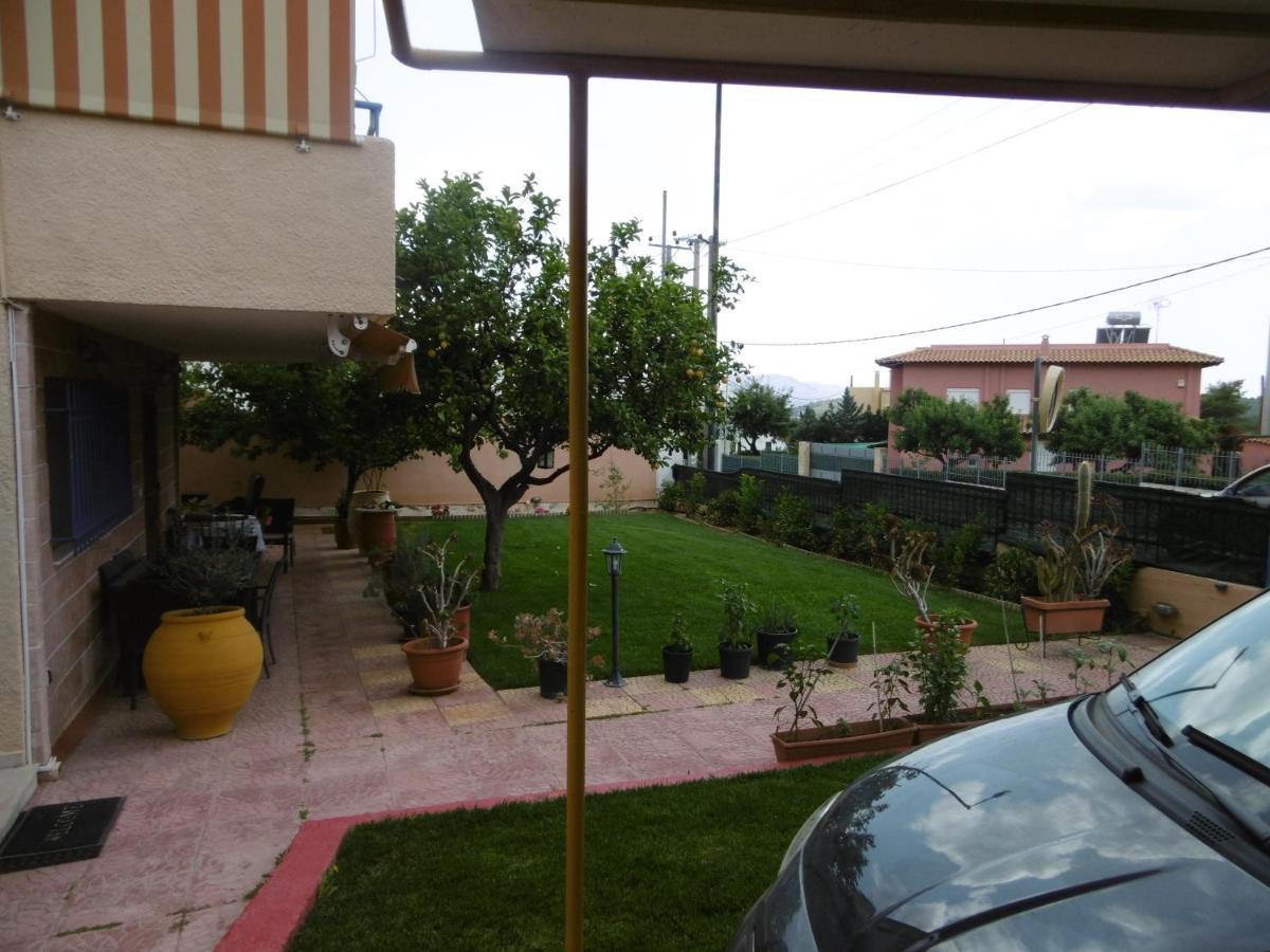 Lemon Tree