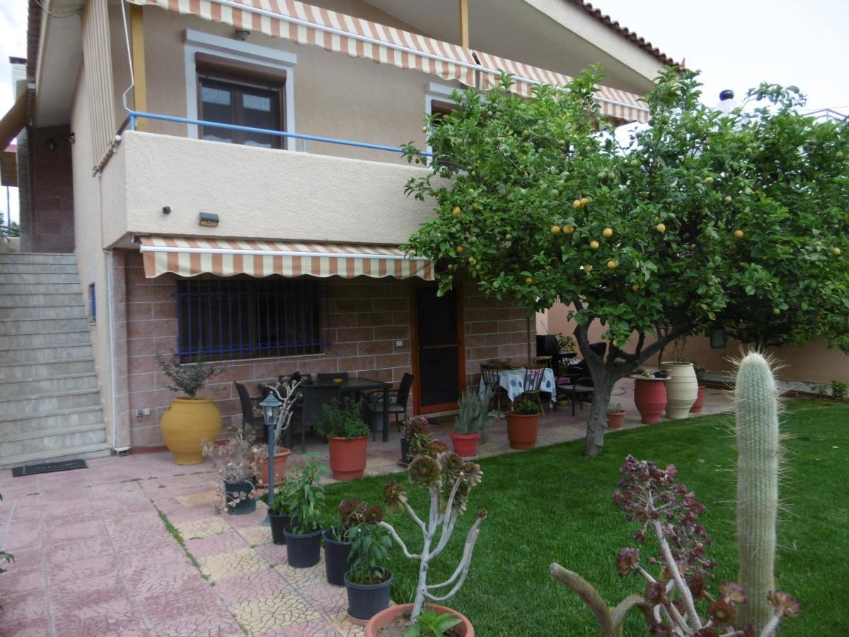 Villa Lemon Tree