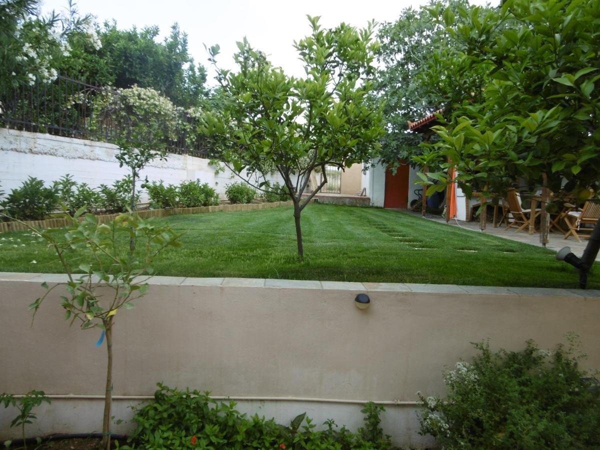 Lemon Tree Villa *