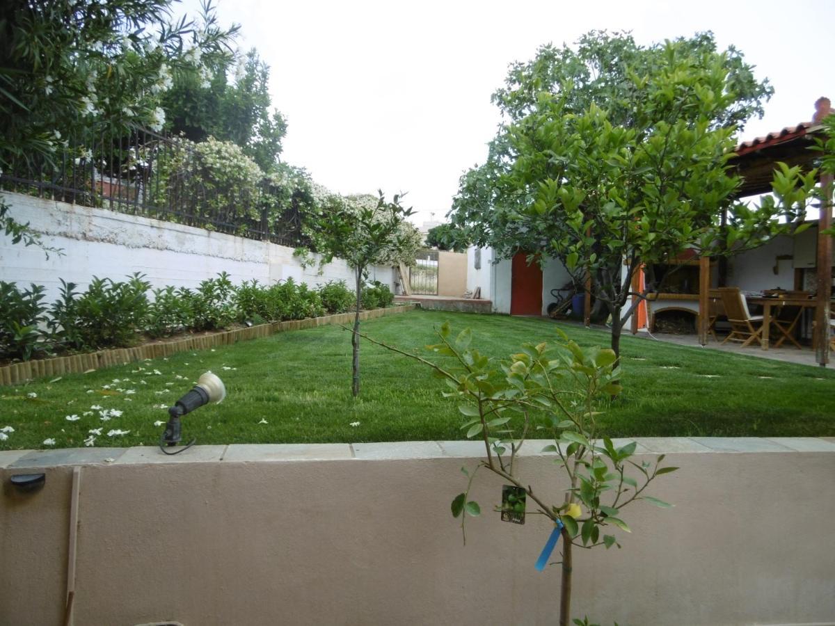 Lemon Tree *