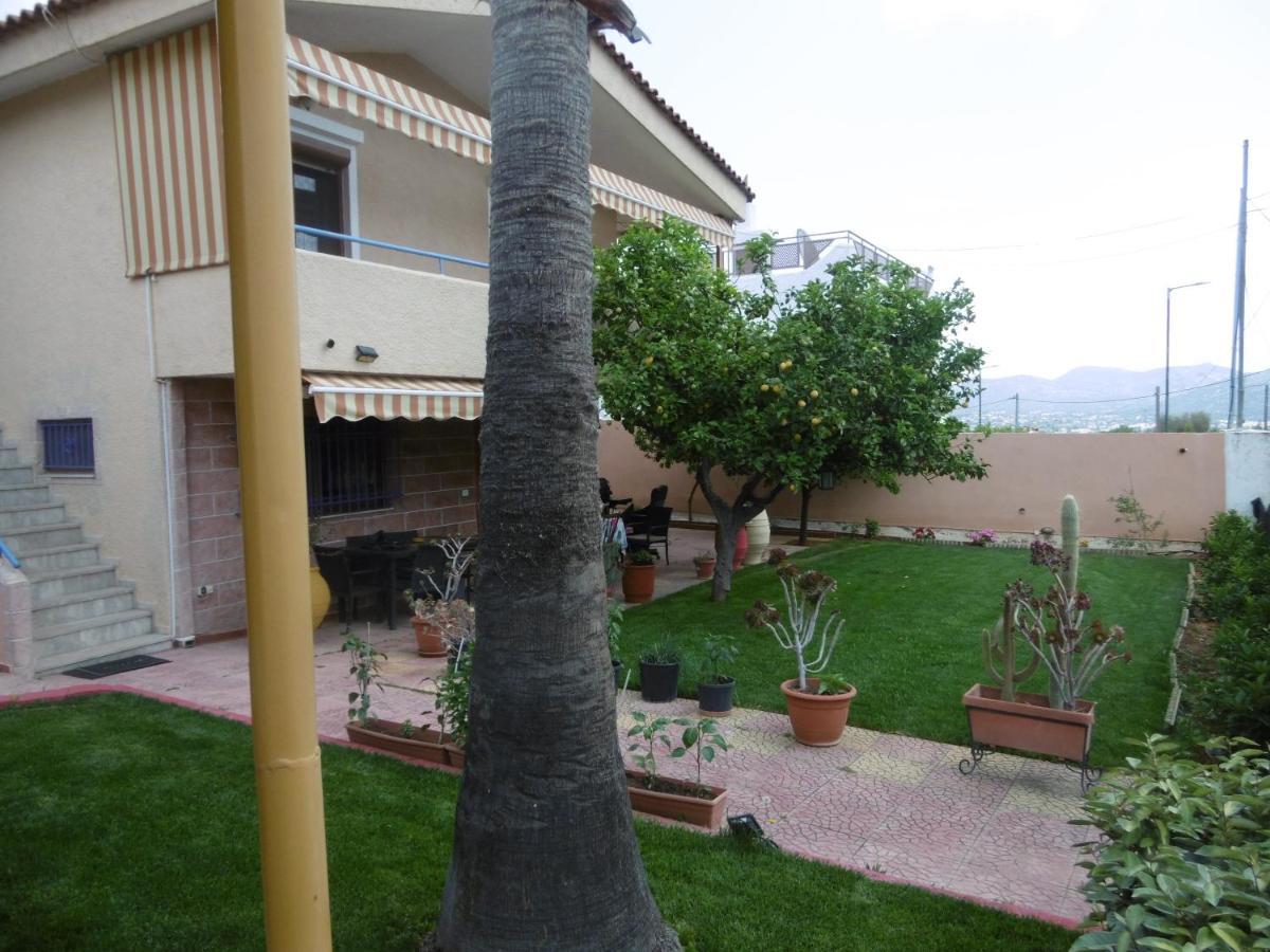 Lemon Tree