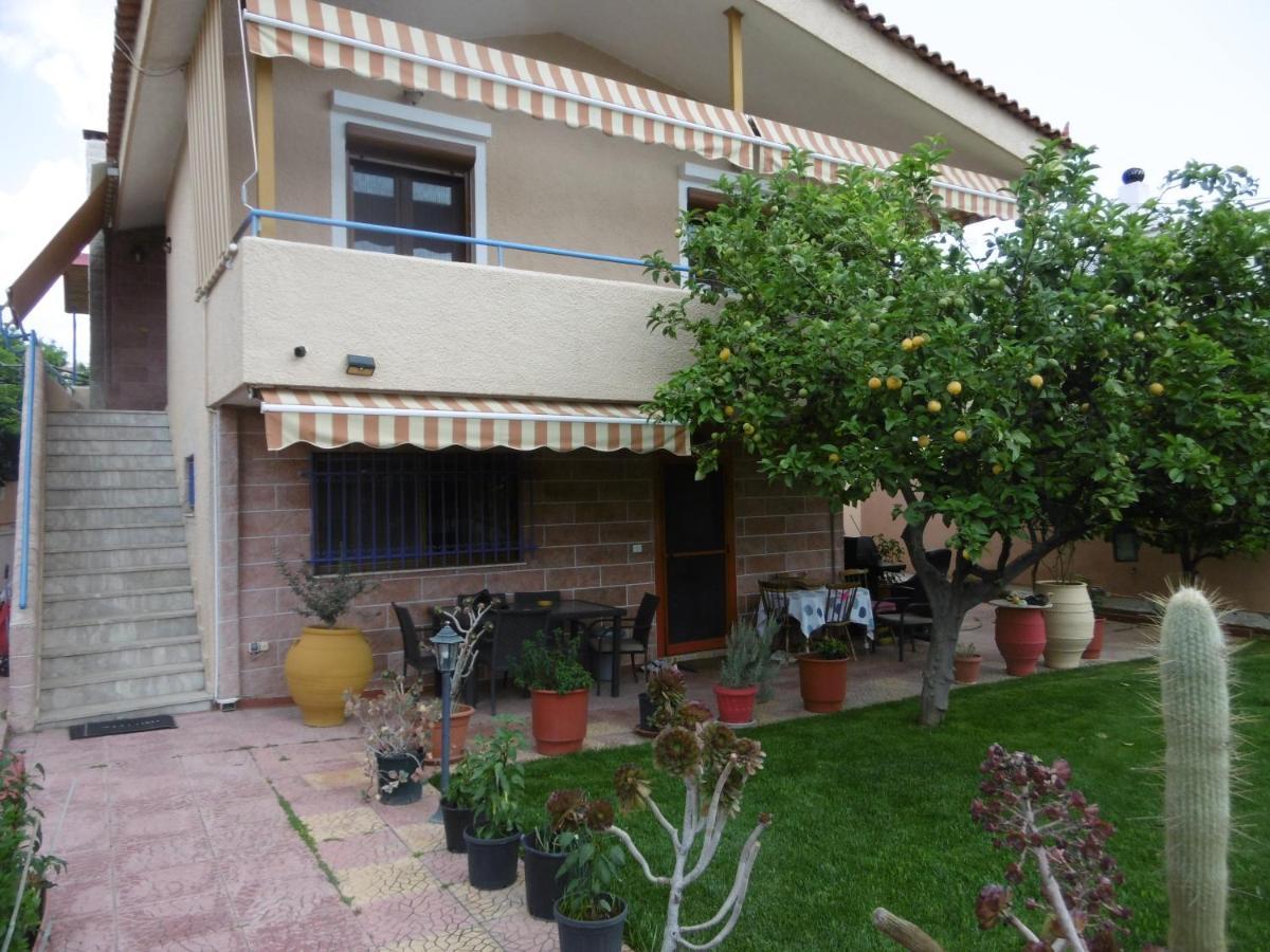 Lemon Tree *
