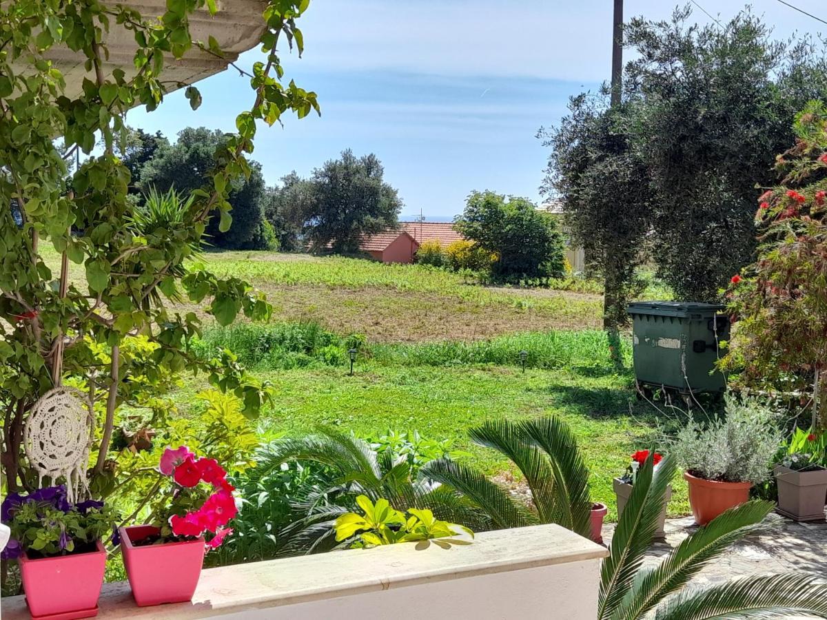 Apartment Angelos Apartment's Arillas (Corfu)