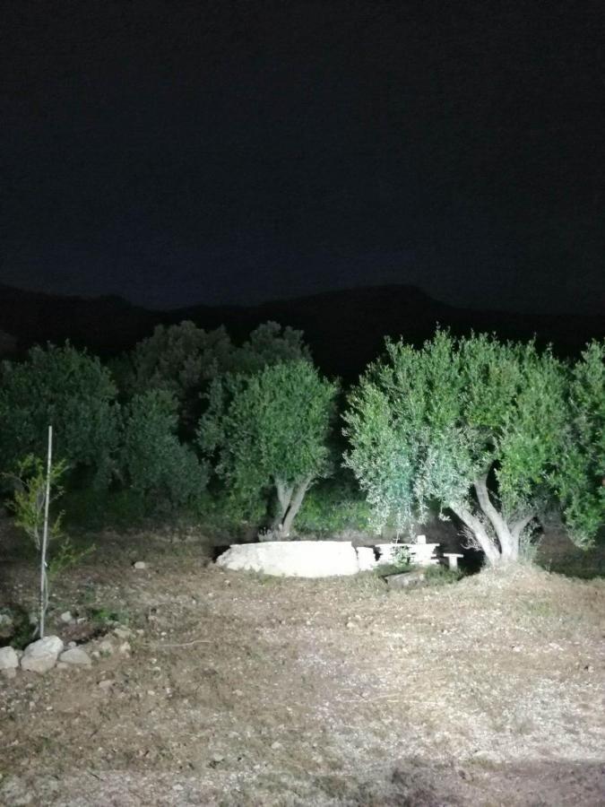 Campsite Terraoliva&herbs *