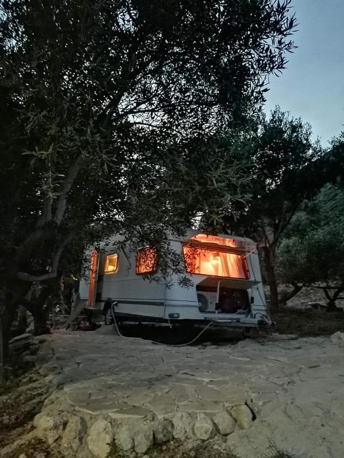 Campsite Terraoliva&herbs