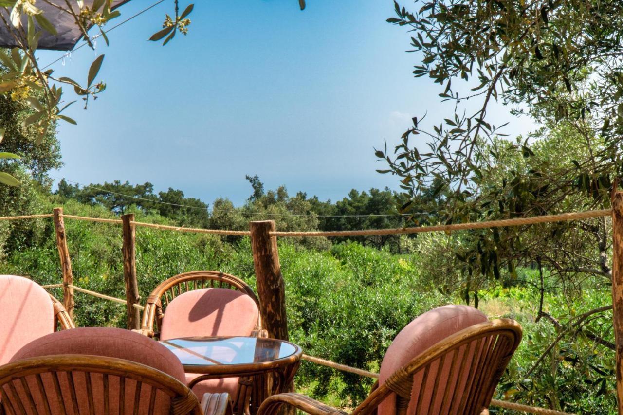 Luxury Dome Tents Ikaria Ap'esso2 Luxury tent *
