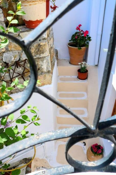 Apartment Traditional House Mataki *