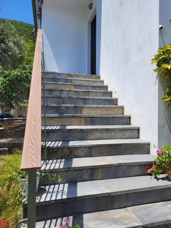 Omikron Holiday home