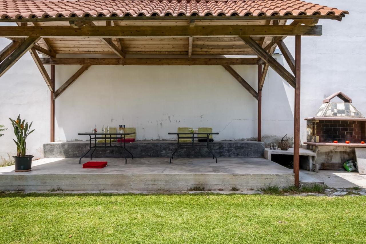 Apartment Apollon