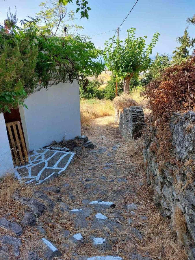 Villa Kos *