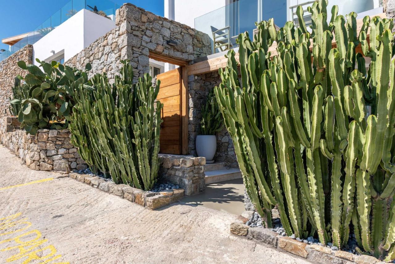 Lilium I * Psarou (Mykonos)